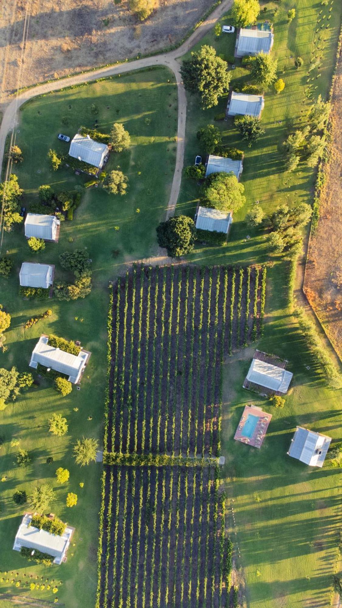 Saronsberg Vineyard Cottages Tulbagh Dış mekan fotoğraf