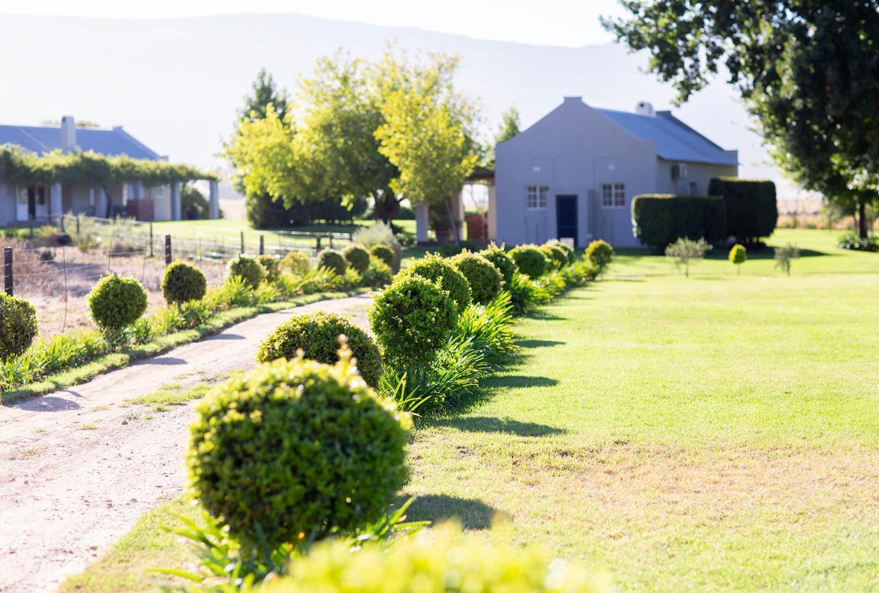 Saronsberg Vineyard Cottages Tulbagh Dış mekan fotoğraf